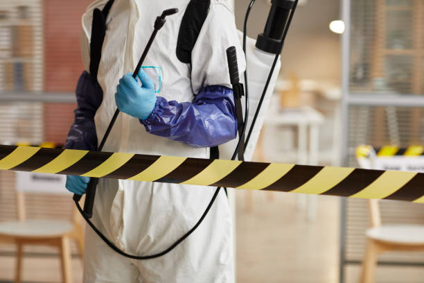 Professional Sewage Cleanup technician working in Delray Beach, FL